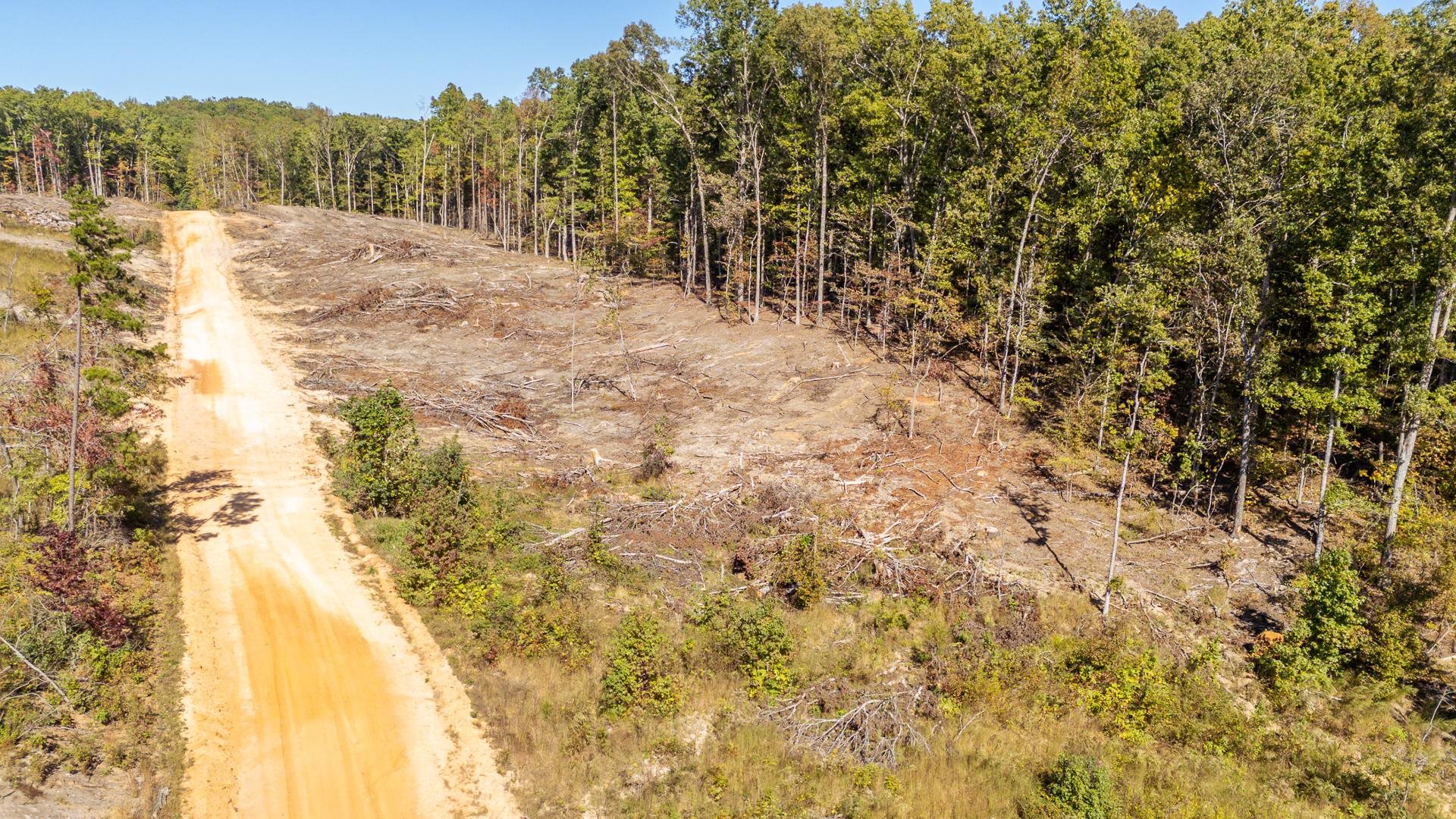 0 Greenleaf Loop Savannah, TN 38372 - Photo 22 of 27 a view of a yard with trees in the background