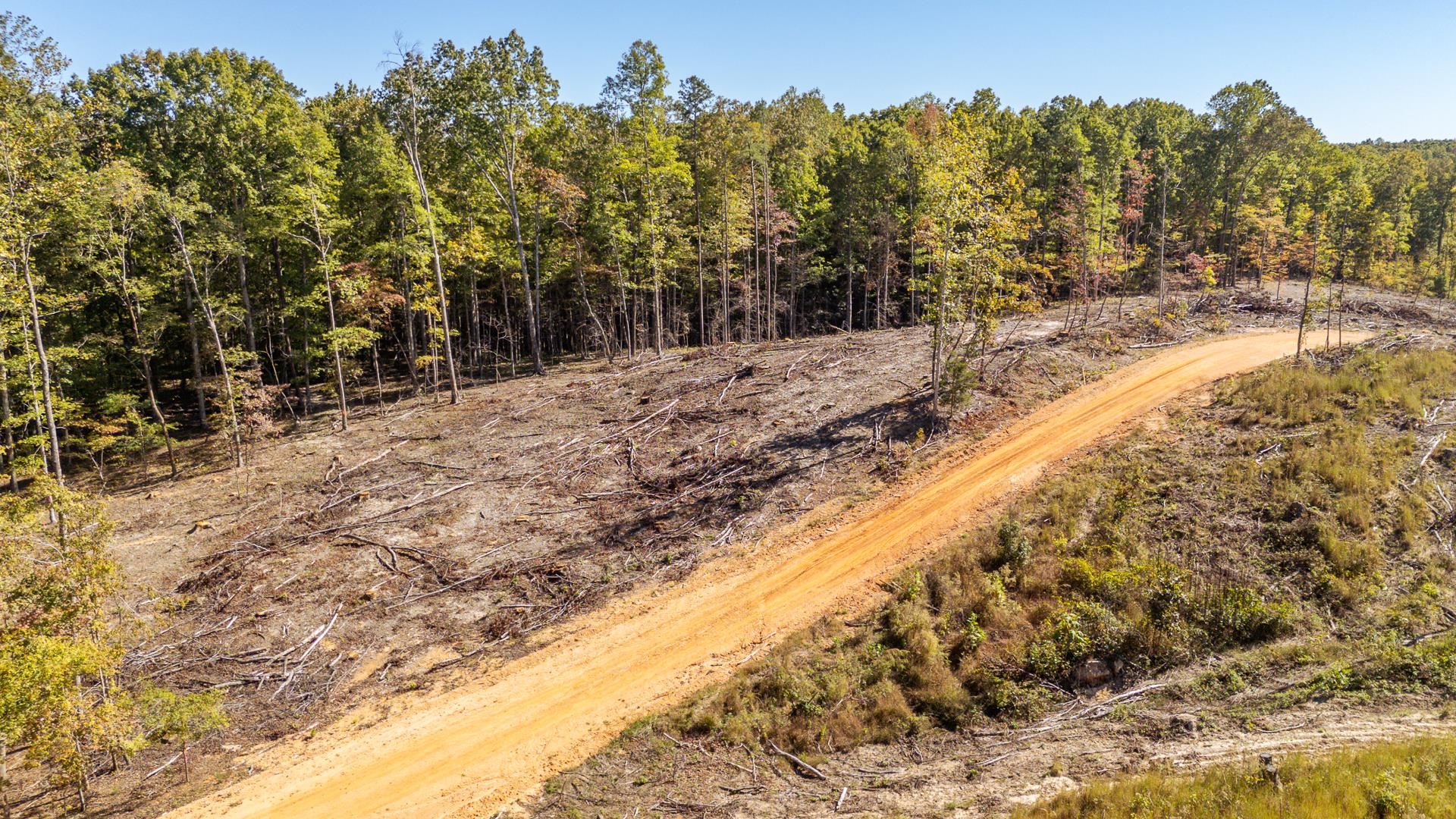0 Greenleaf Loop Savannah, TN 38372 - Photo 23 of 27 a view of a yard with trees