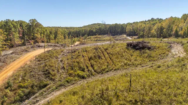 $75,000 | 0 Greenleaf Loop, Savannah, TN 38372