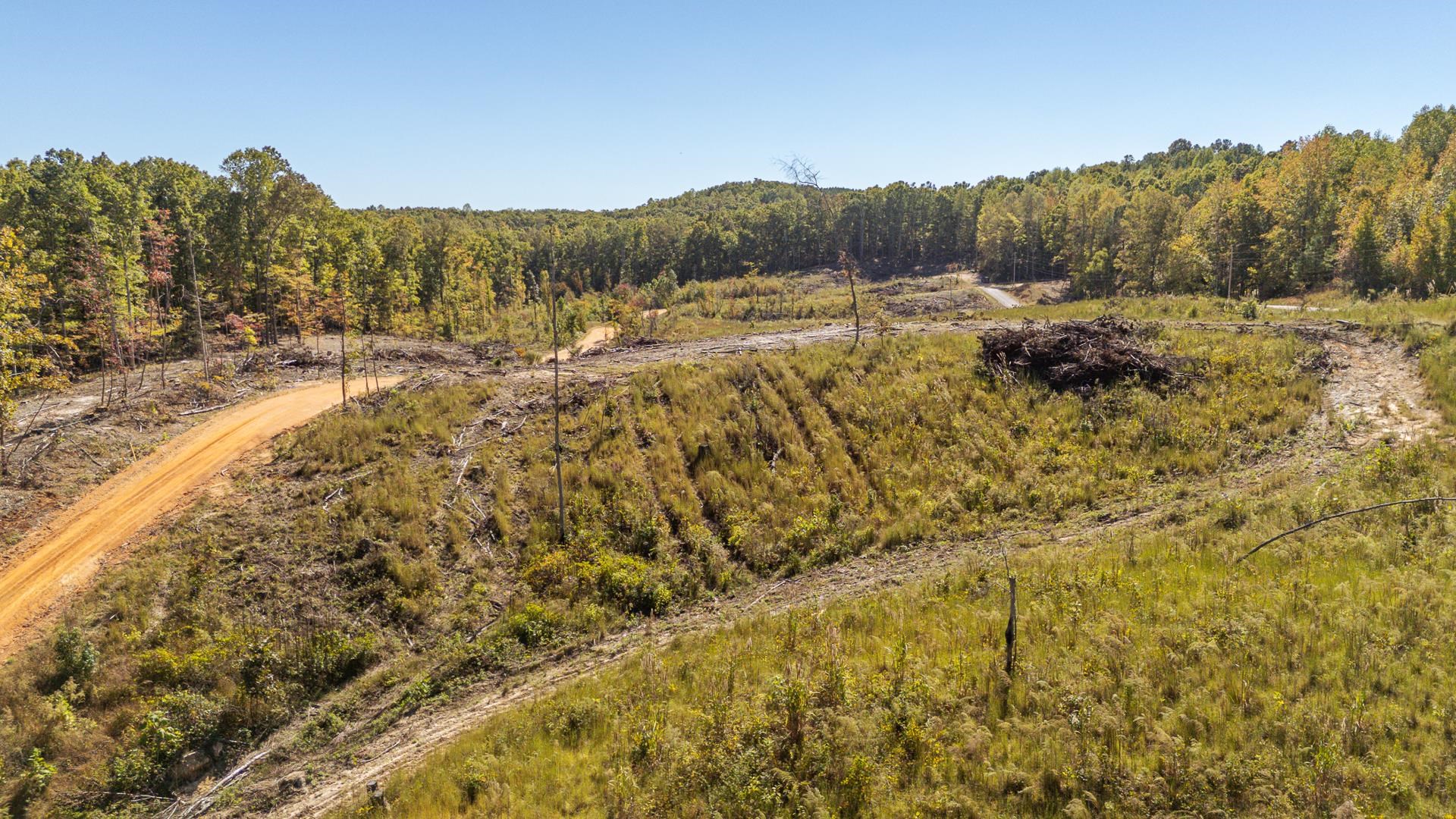 0 Greenleaf Loop Savannah, TN 38372 - Photo 24 of 27 a view of a town with mountains in the background