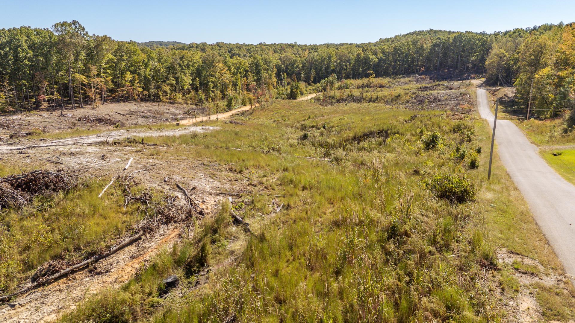 0 Greenleaf Loop Savannah, TN 38372 - Photo 25 of 27 a view of a yard with a house