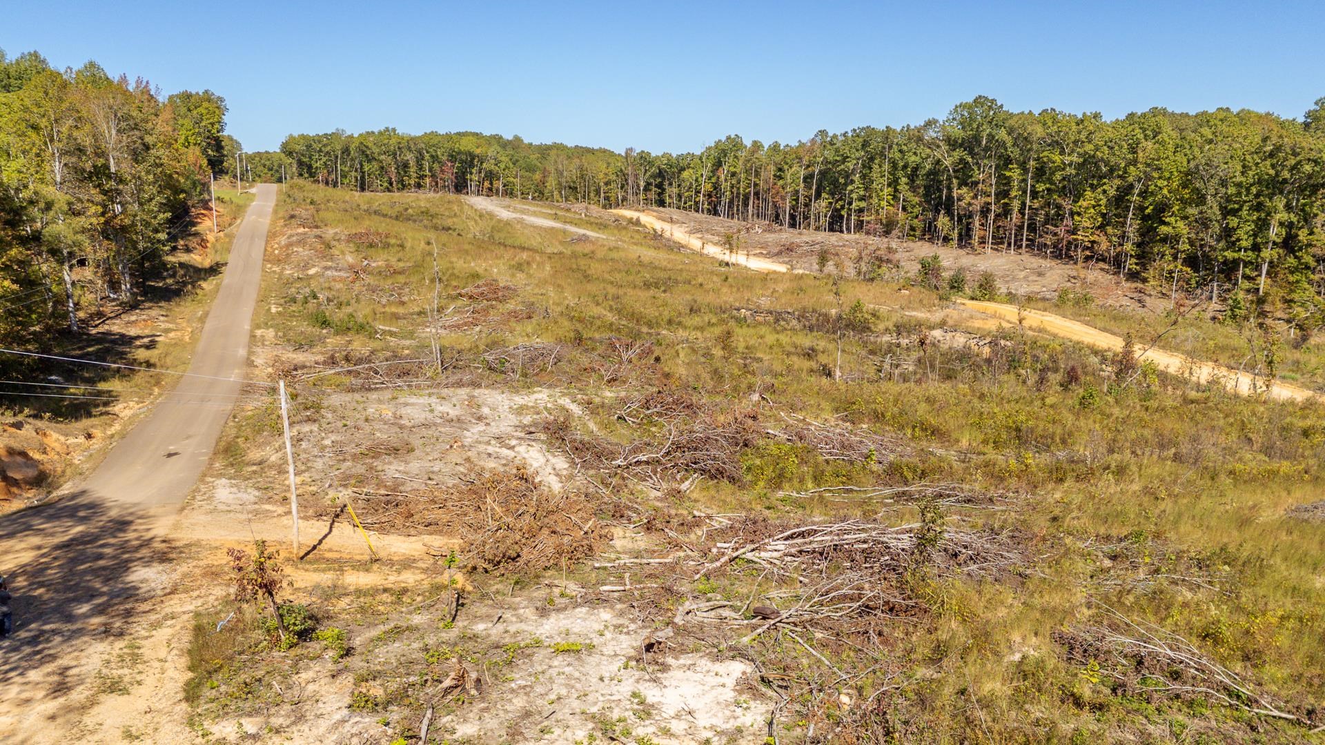0 Greenleaf Loop Savannah, TN 38372 - Photo 26 of 27 a view of mountain view