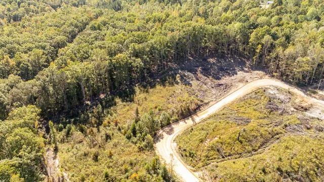 a view of a yard with trees