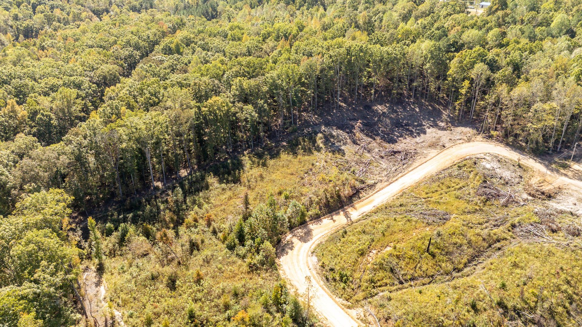 0 Greenleaf Loop Savannah, TN 38372 - Photo 5 of 27 a view of a yard
