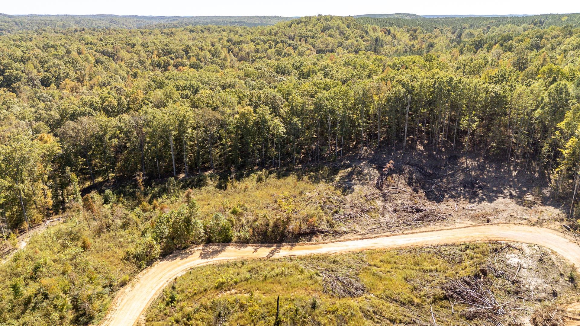 0 Greenleaf Loop Savannah, TN 38372 - Photo 6 of 27 a view of a yard