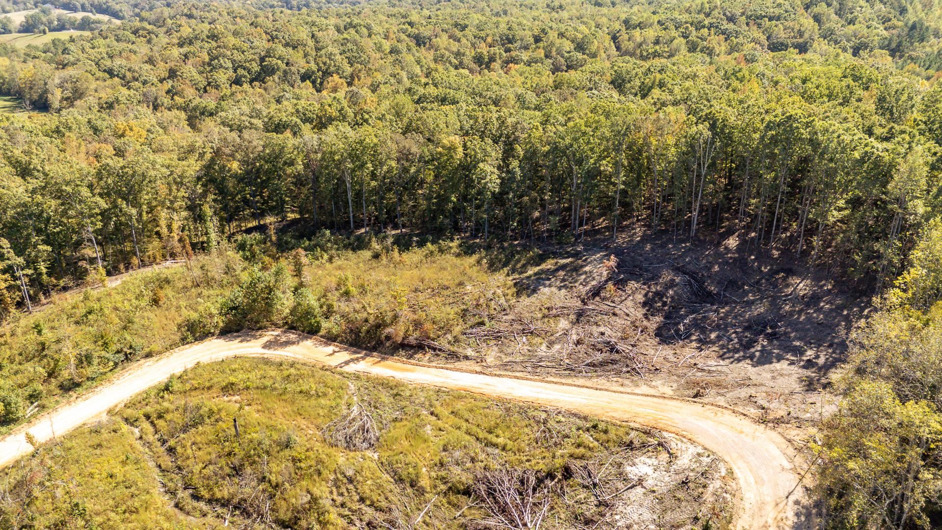 0 Greenleaf Loop Savannah, TN 38372 - Photo 7 of 27 a view of a yard with trees