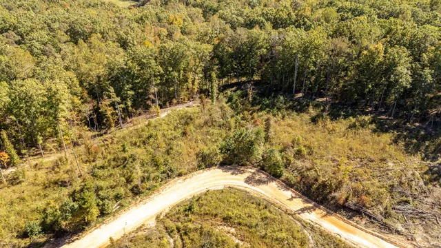 a view of a yard with large trees