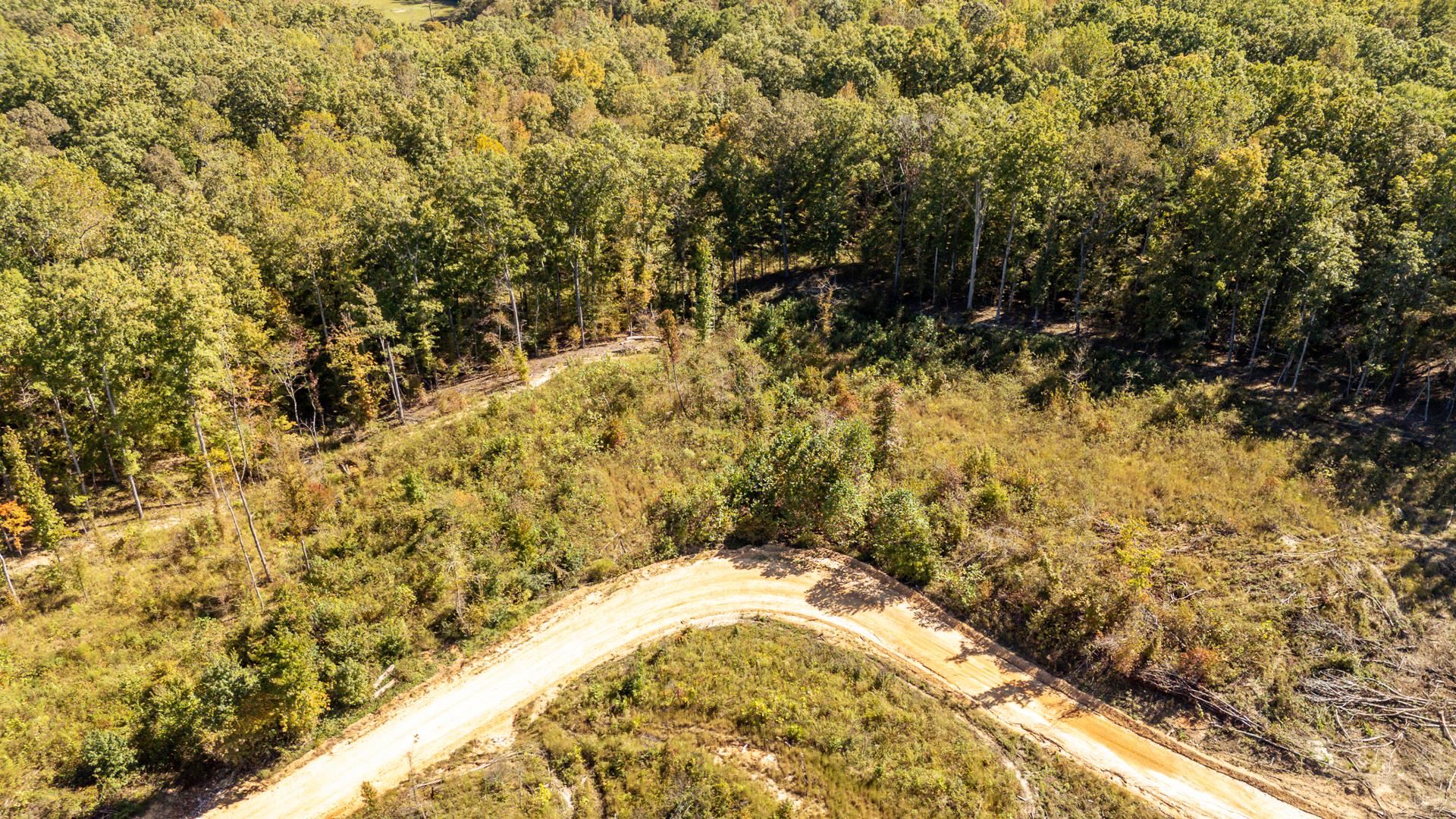 0 Greenleaf Loop Savannah, TN 38372 - Photo 8 of 27