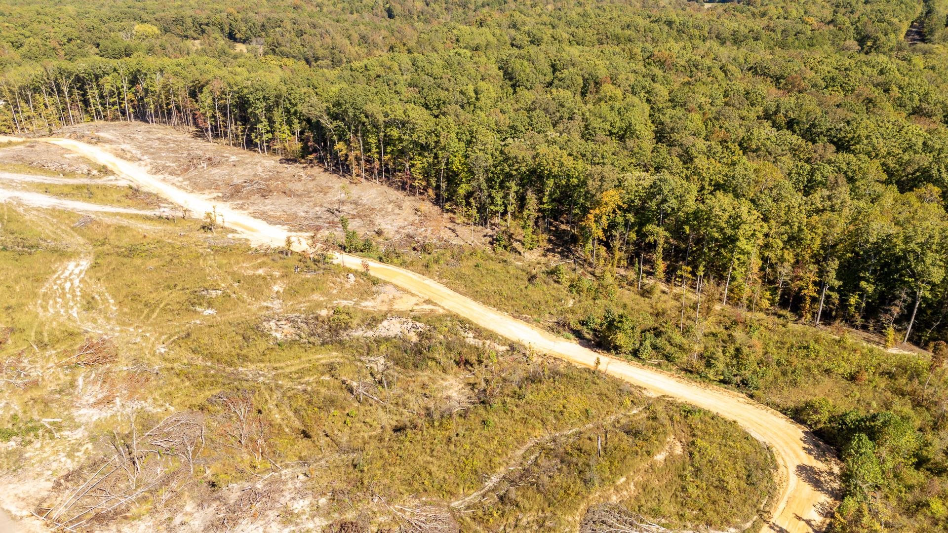 0 Greenleaf Loop Savannah, TN 38372 - Photo 9 of 27 a view of a yard with a trees