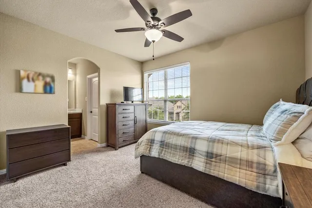 a view of a patio with couches and a potted plant on a table