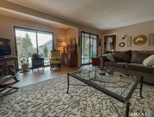 a living room with furniture a rug a flat screen tv and a large window