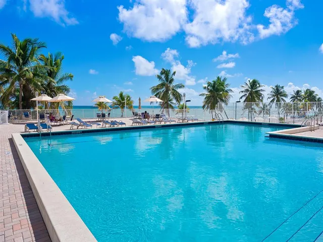 a view of a backyard with palm trees