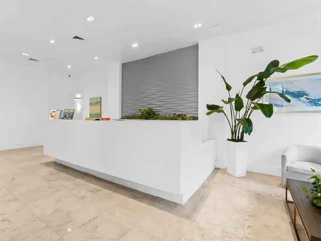 a potted plant sitting on top of a kitchen table and a potted plant