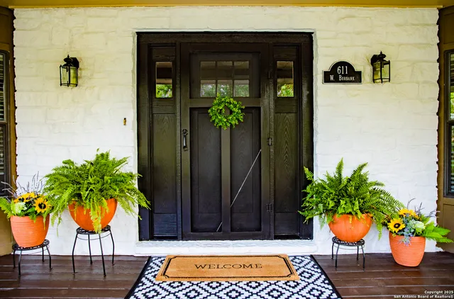 a potted plant in front of a door