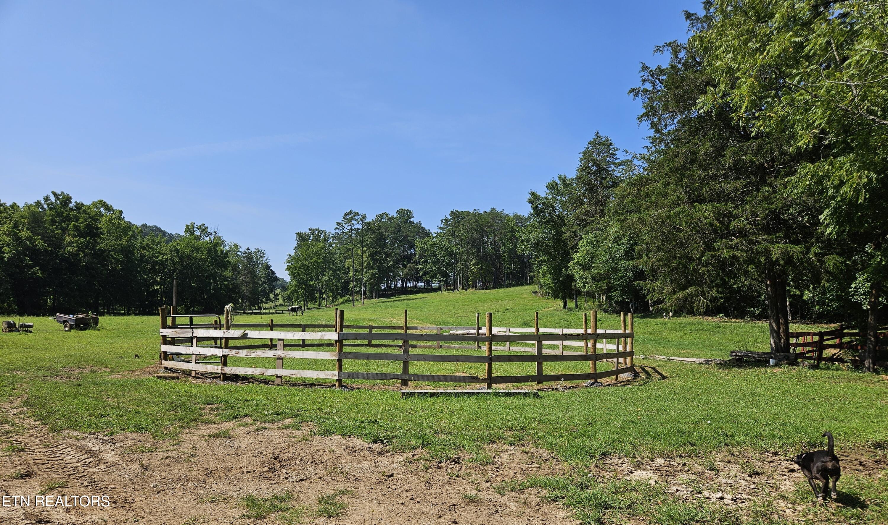 871 Hickory Valley Road Maynardville, TN 37807 - Photo 16 of 60 20230823_113411