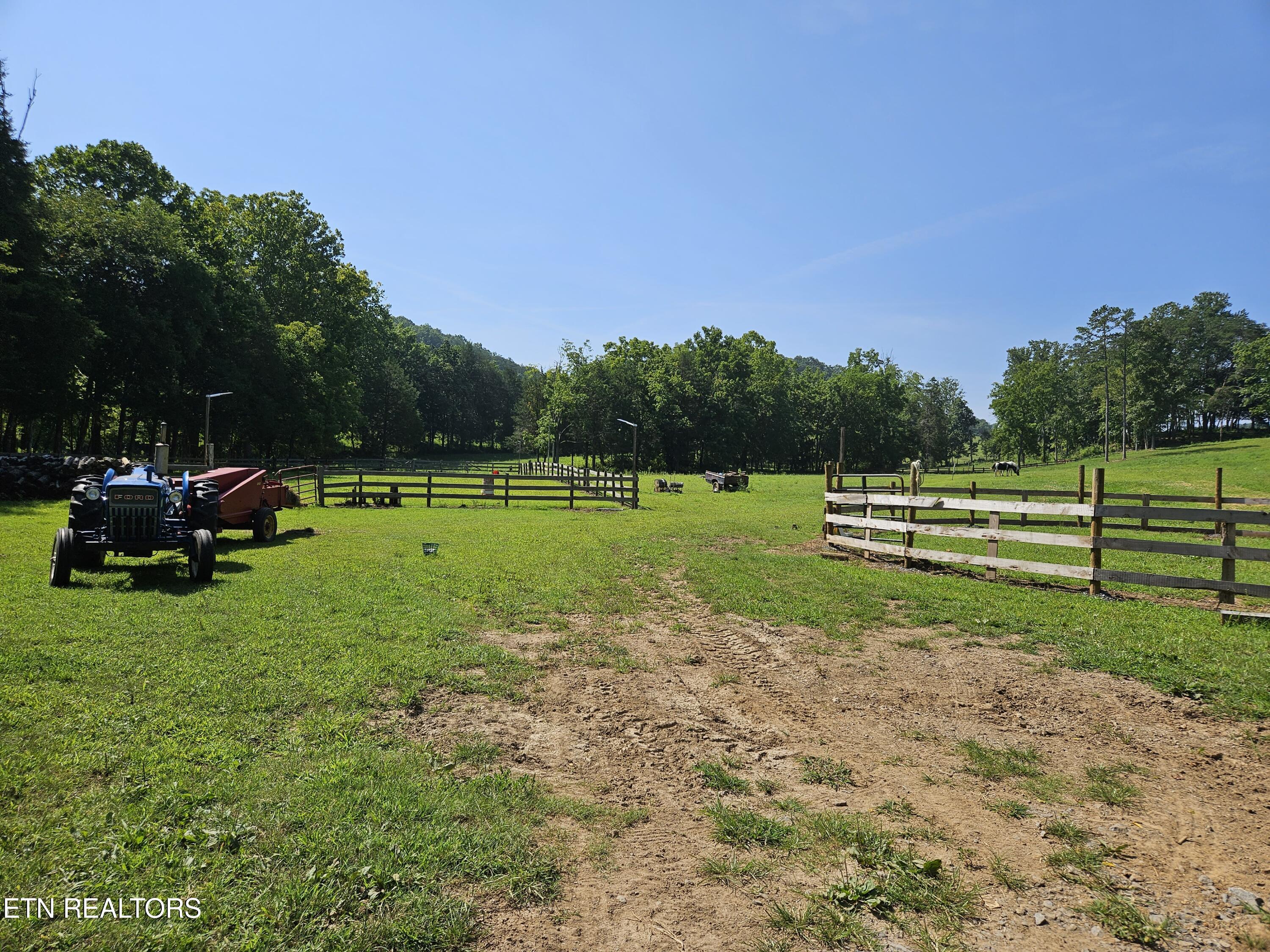 871 Hickory Valley Road Maynardville, TN 37807 - Photo 17 of 60 20230823_113413