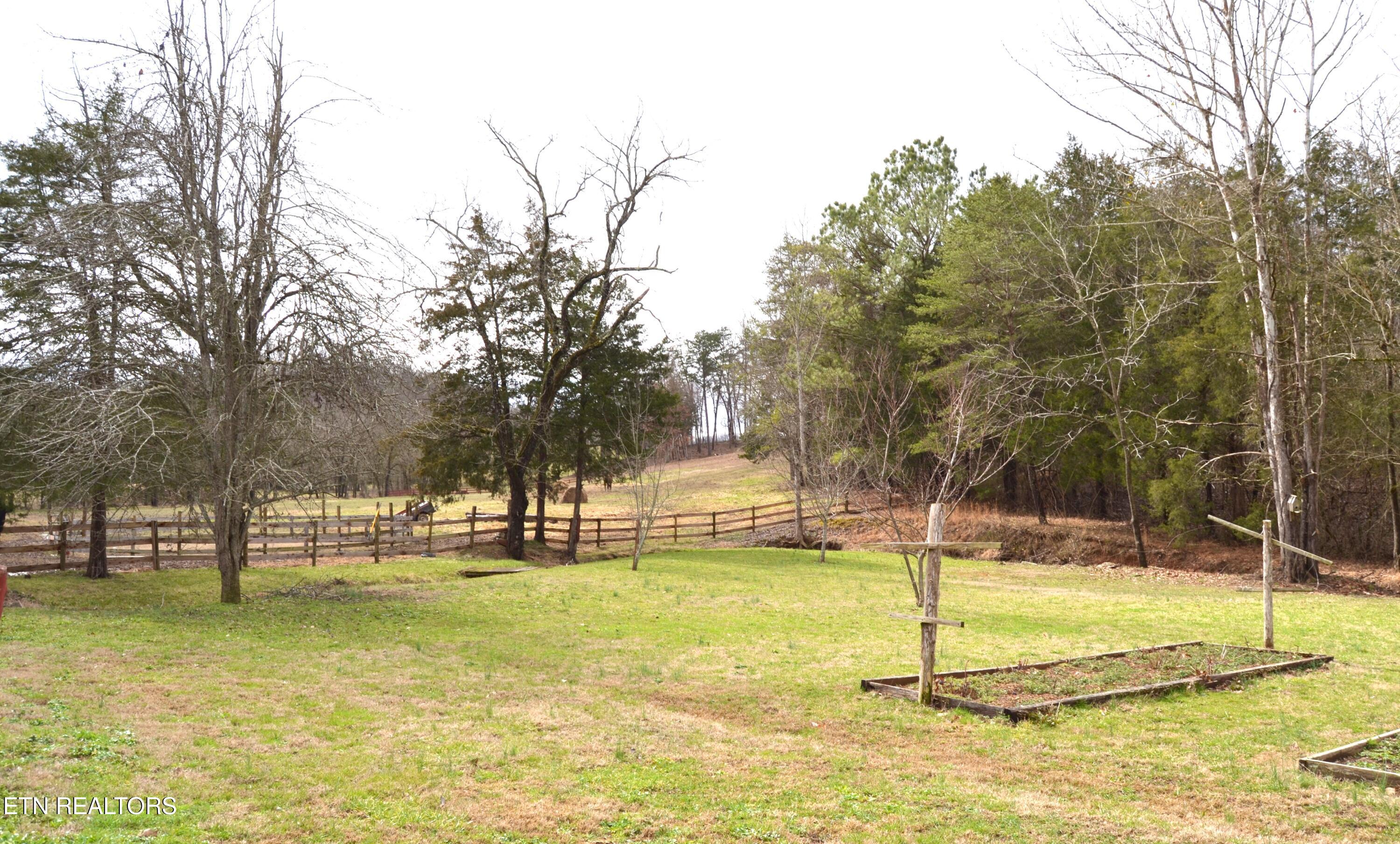 871 Hickory Valley Road Maynardville, TN 37807 - Photo 38 of 60 DSC_0038