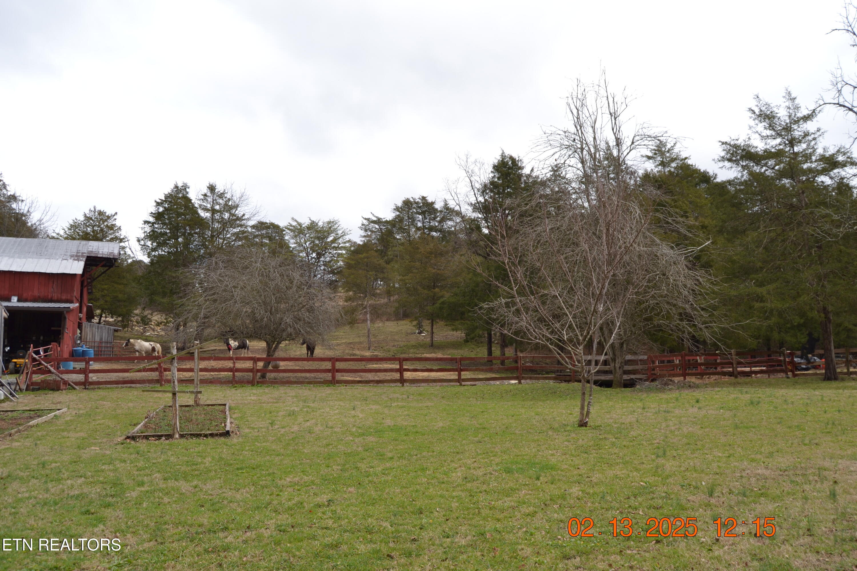 871 Hickory Valley Road Maynardville, TN 37807 - Photo 40 of 60 DSC_0052