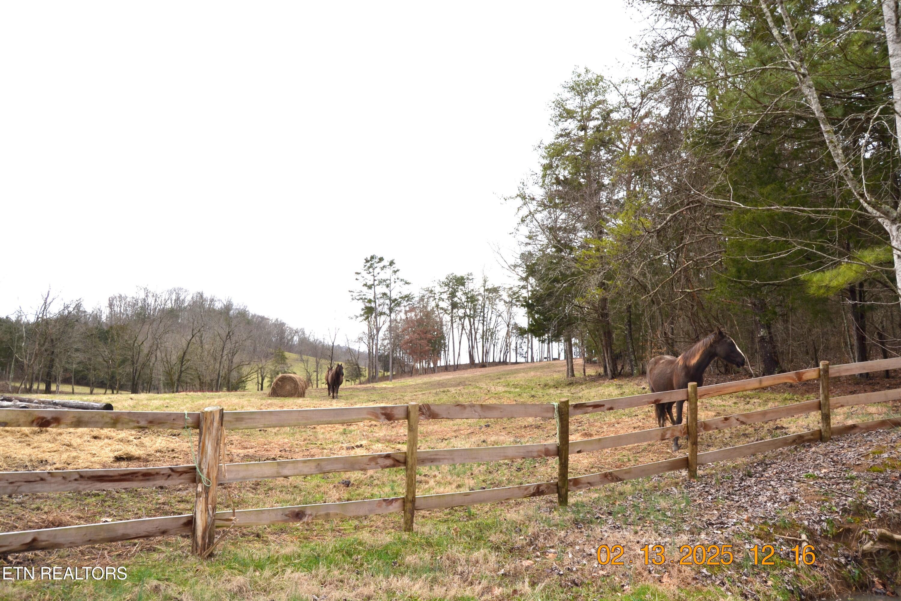 871 Hickory Valley Road Maynardville, TN 37807 - Photo 46 of 60 DSC_0059