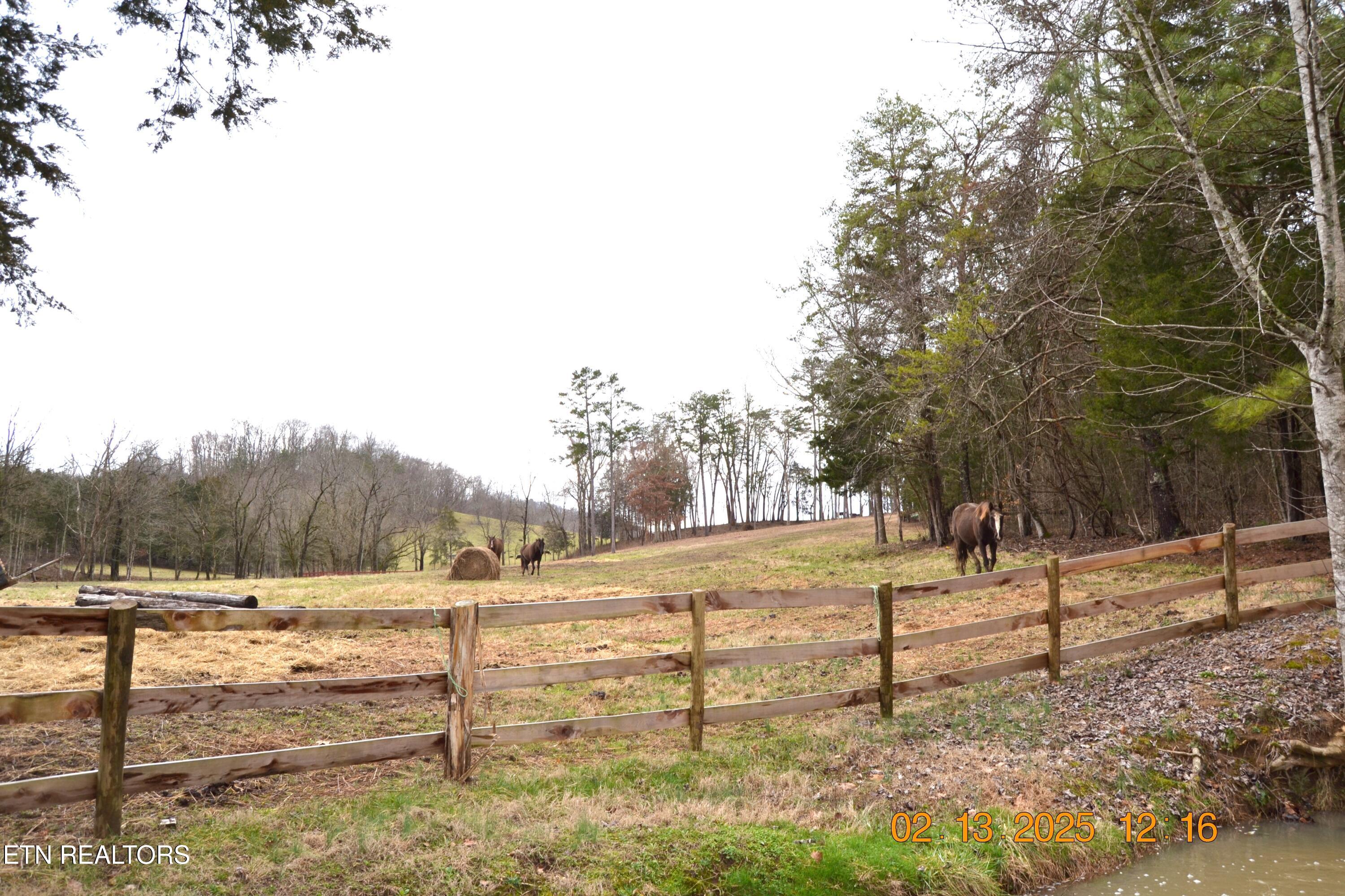 871 Hickory Valley Road Maynardville, TN 37807 - Photo 47 of 60 DSC_0058