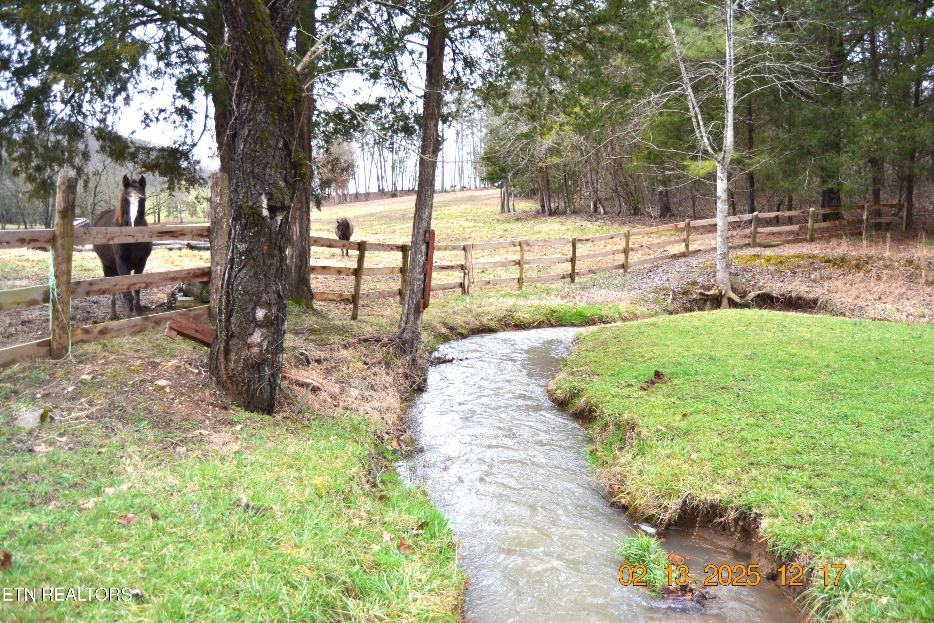871 Hickory Valley Road Maynardville, TN 37807 - Photo 48 of 60 DSC_0062