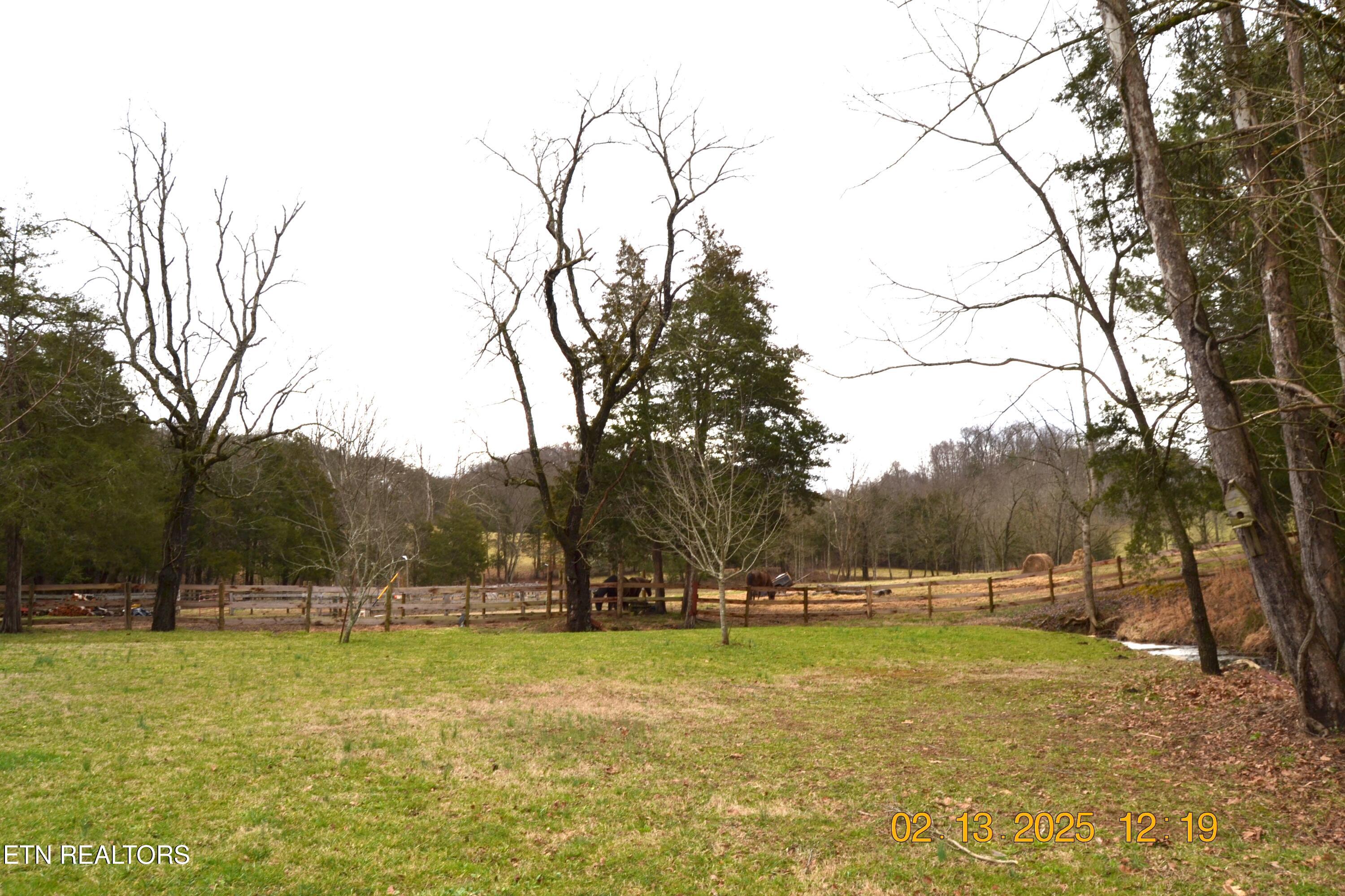 871 Hickory Valley Road Maynardville, TN 37807 - Photo 49 of 60 DSC_0077