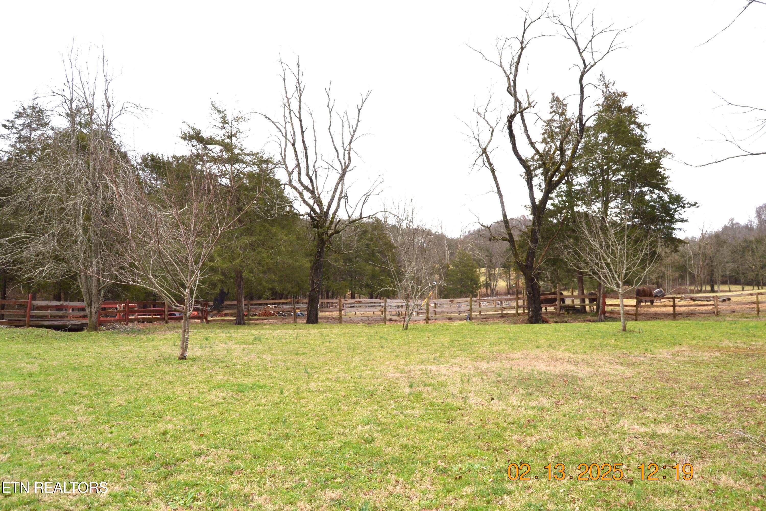 871 Hickory Valley Road Maynardville, TN 37807 - Photo 50 of 60 DSC_0078