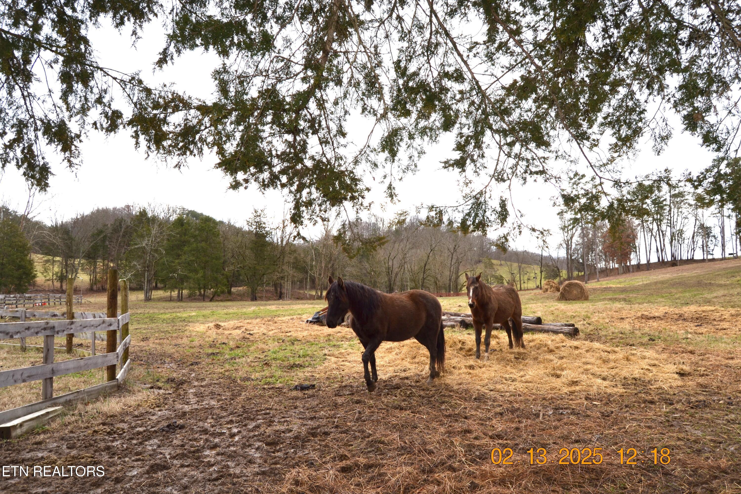871 Hickory Valley Road Maynardville, TN 37807 - Photo 52 of 60 DSC_0072