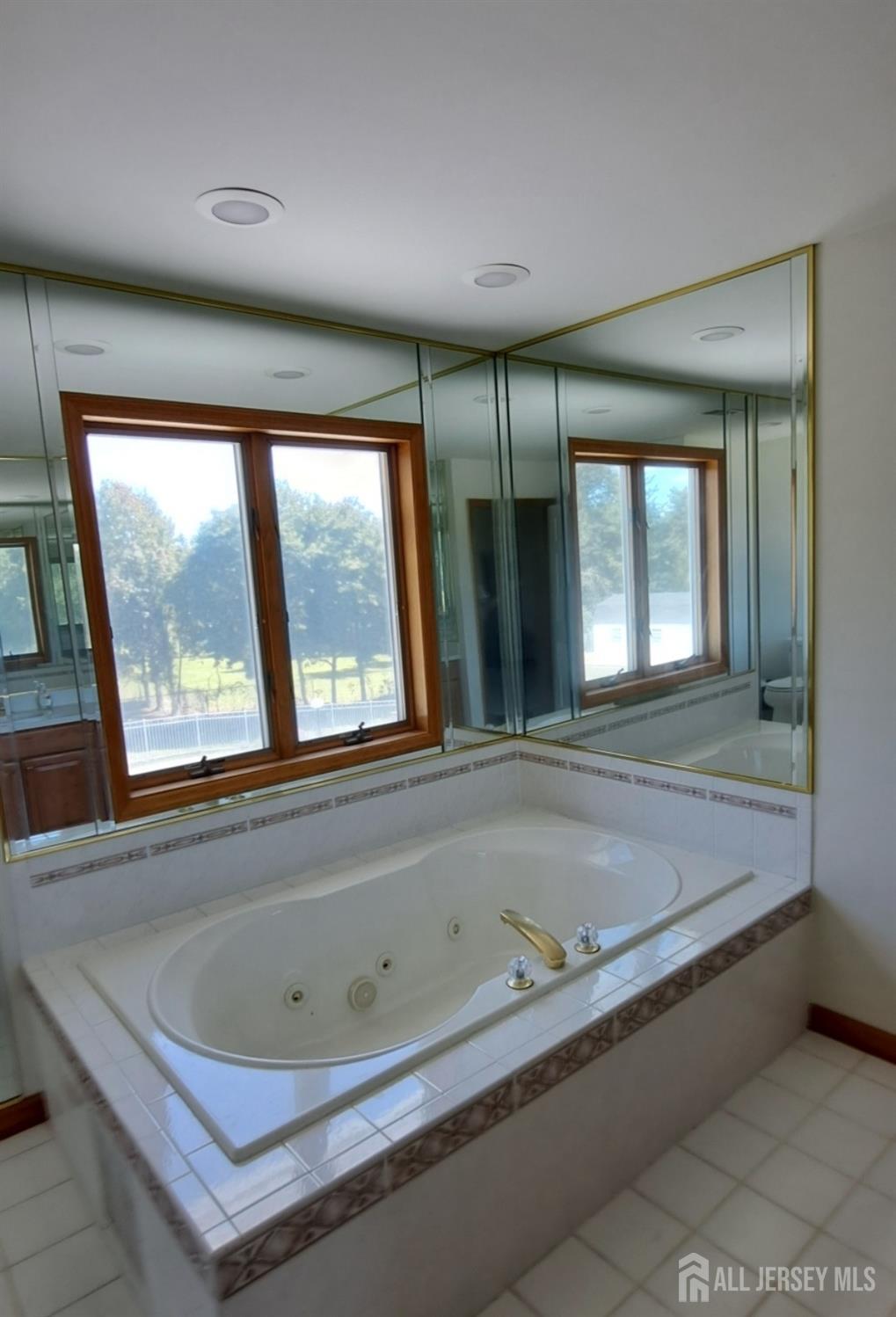 58 Bergen Mills Road Monroe Township, NJ 08831 - Photo 15 of 24 a bath tub sitting in a room next to a window