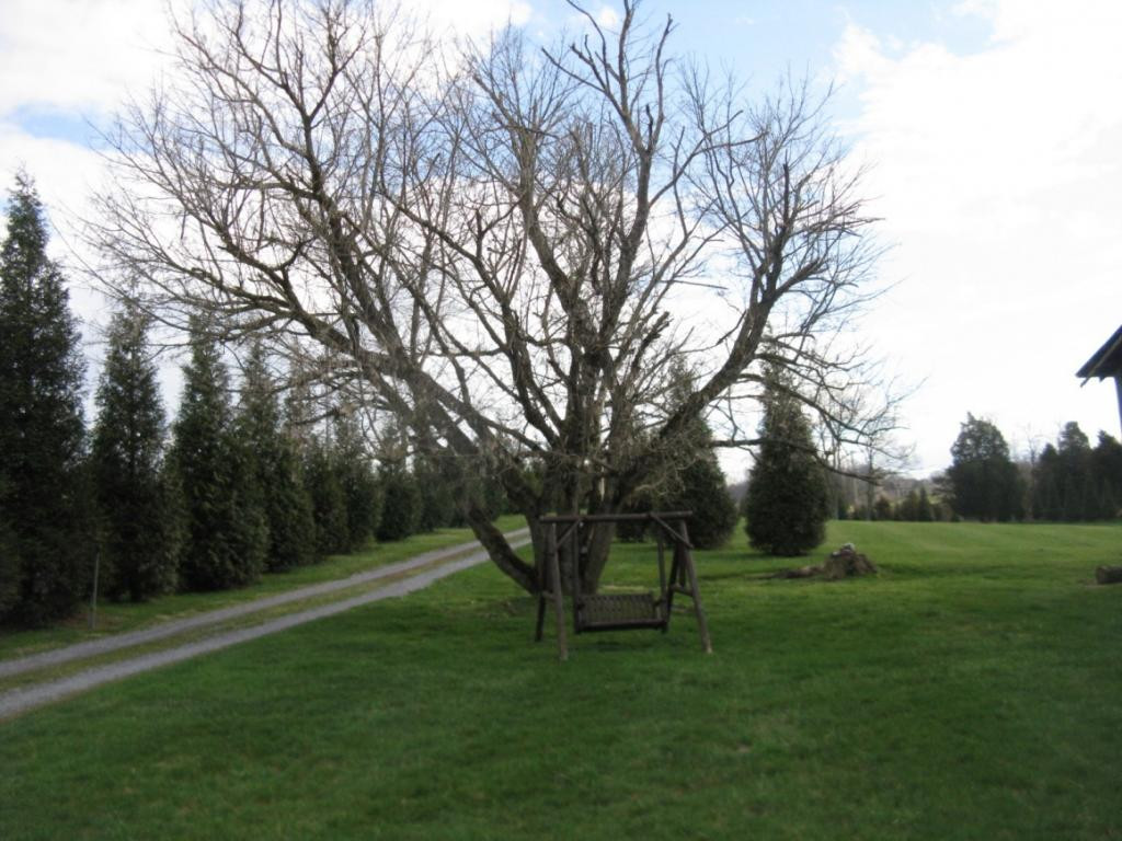 581 Way Cross Road Church Hill, TN 37642 - Photo 25 of 36 Nice Swing Beside The Barn Too