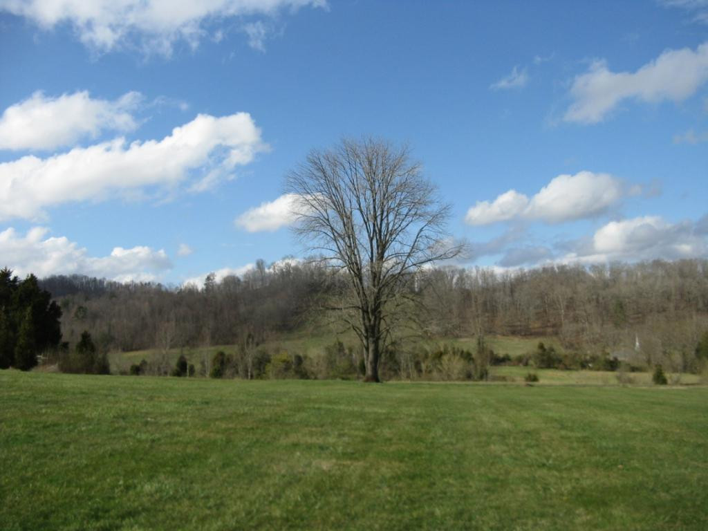 581 Way Cross Road Church Hill, TN 37642 - Photo 26 of 36 Georgous Land