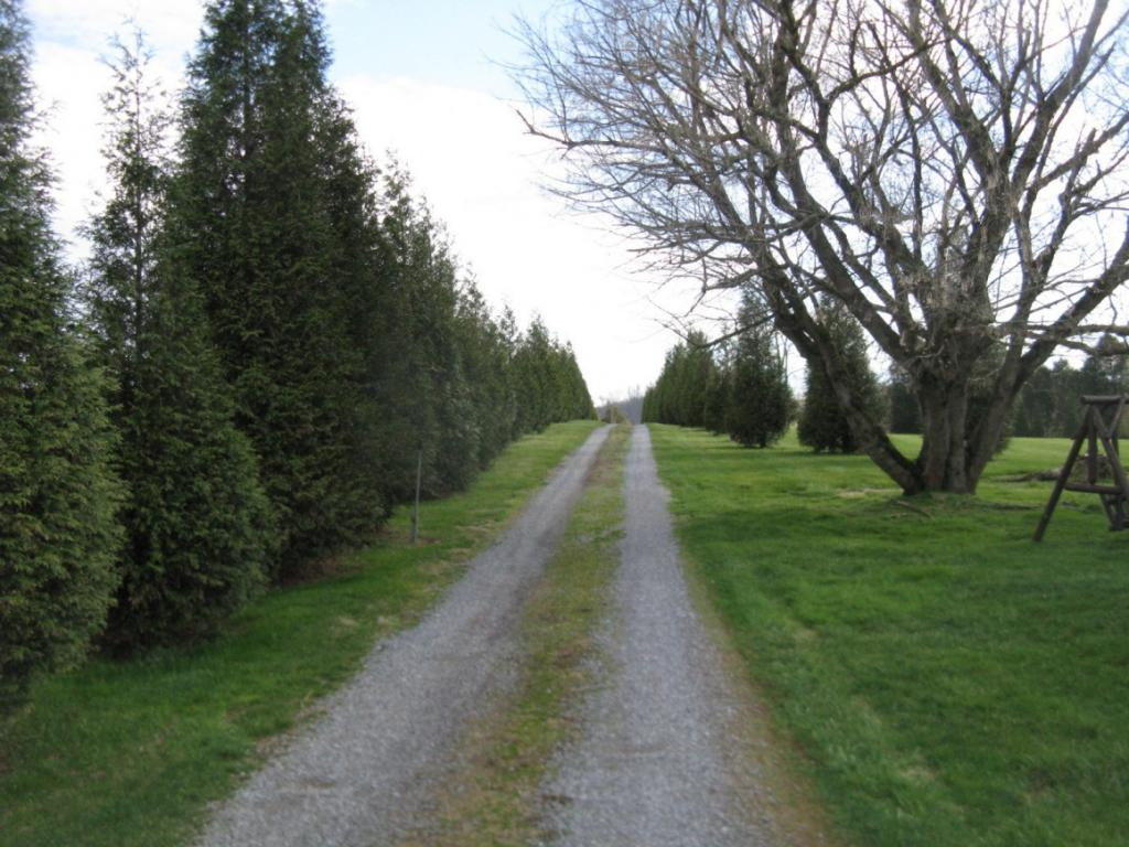581 Way Cross Road Church Hill, TN 37642 - Photo 32 of 36 Secluded Entrance