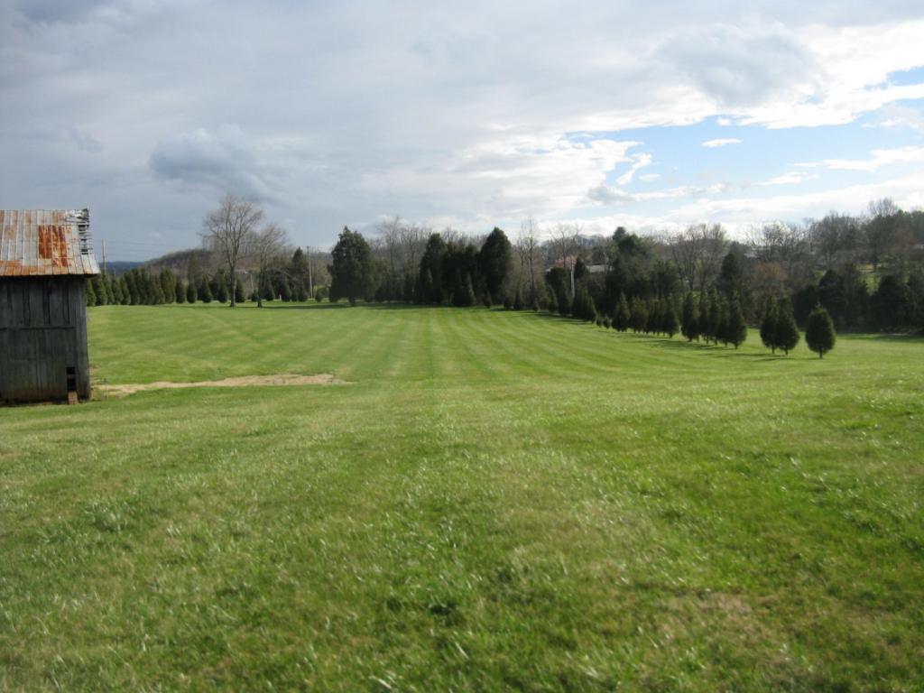 581 Way Cross Road Church Hill, TN 37642 - Photo 4 of 36 Peaceful Country Setting