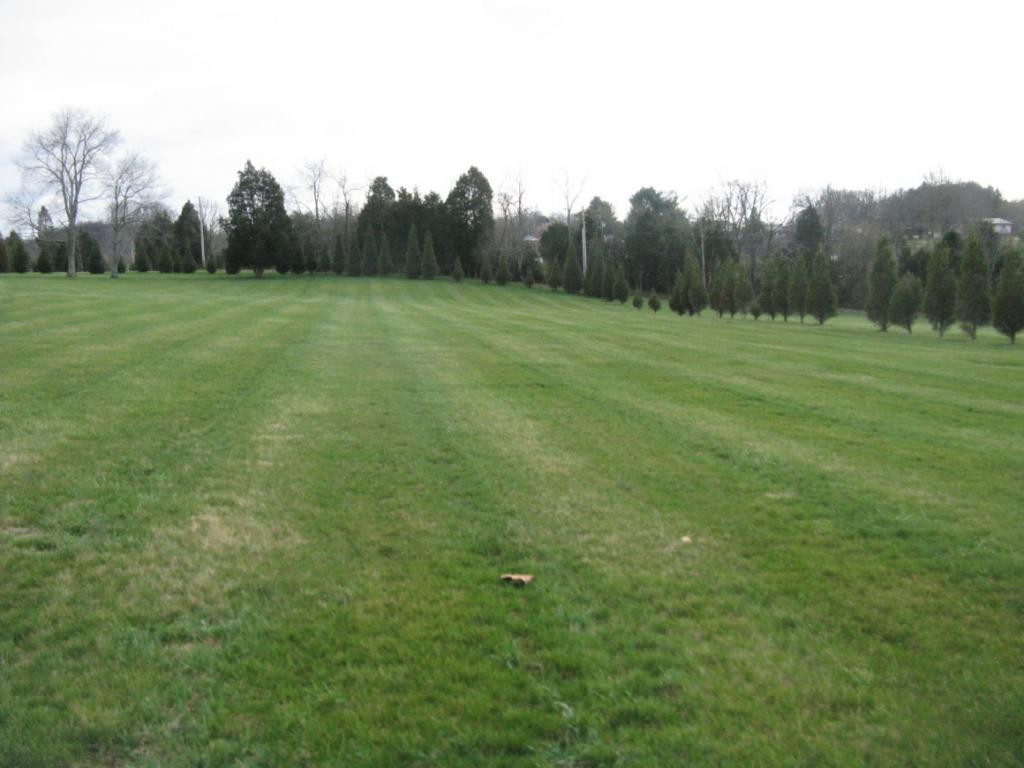 581 Way Cross Road Church Hill, TN 37642 - Photo 5 of 36 Rear View of Land
