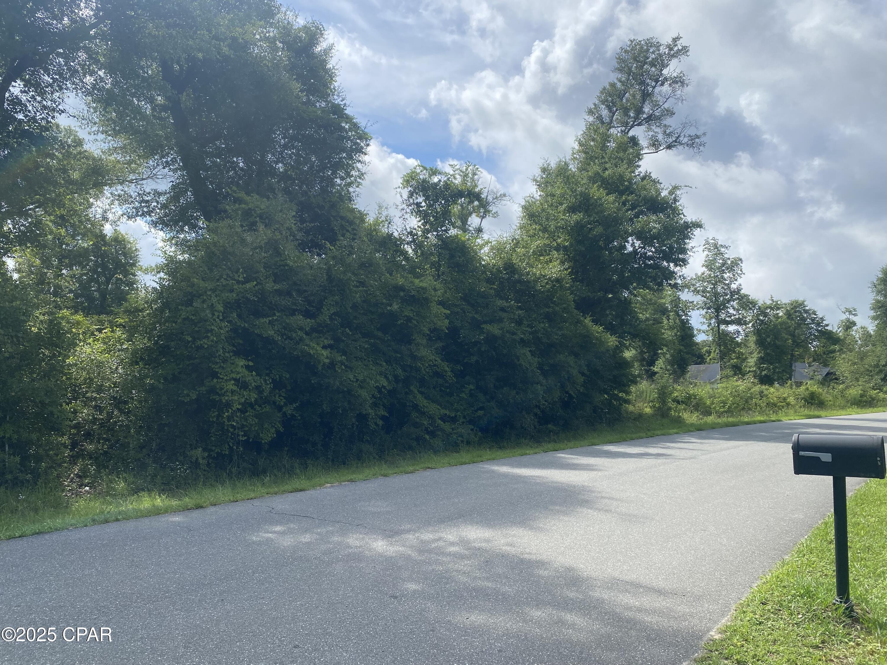 0 Magnolia Lane, Unit 12 Marianna, FL 32446 - Photo 3 of 13