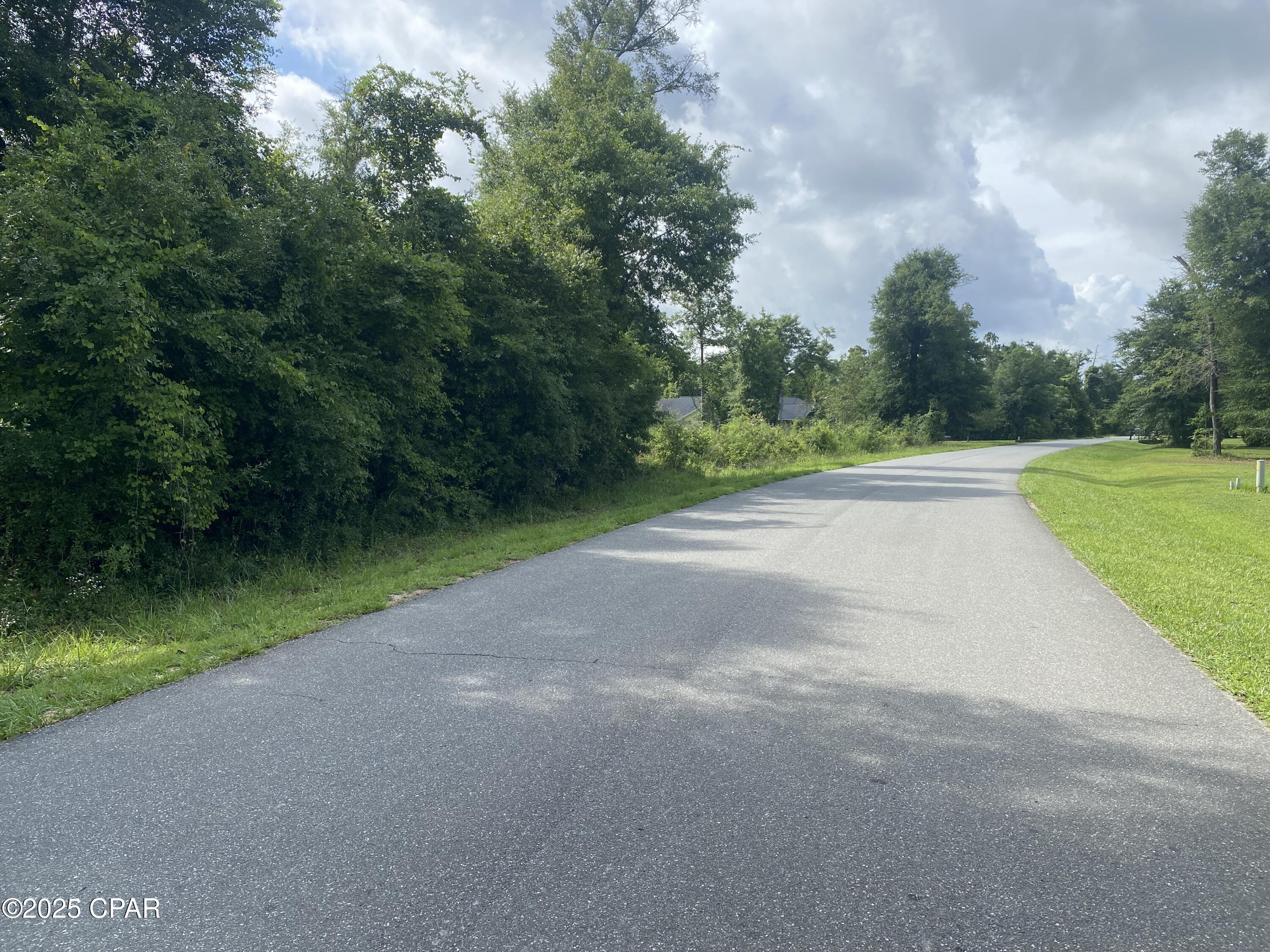 0 Magnolia Lane, Unit 12 Marianna, FL 32446 - Photo 4 of 13