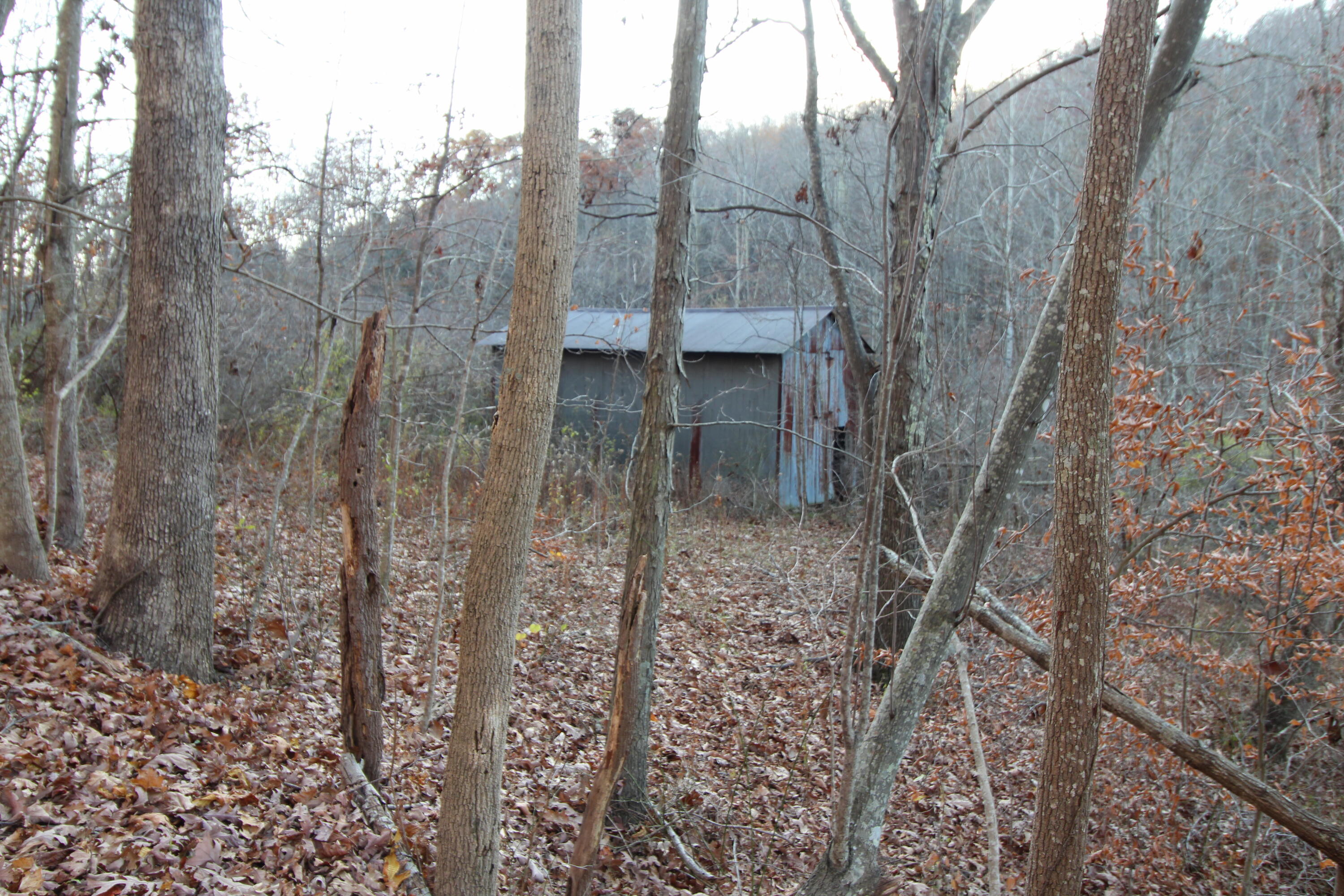 9031 Judson Road Hinton, WV 25951 - Photo 11 of 32 Gallery Image 11