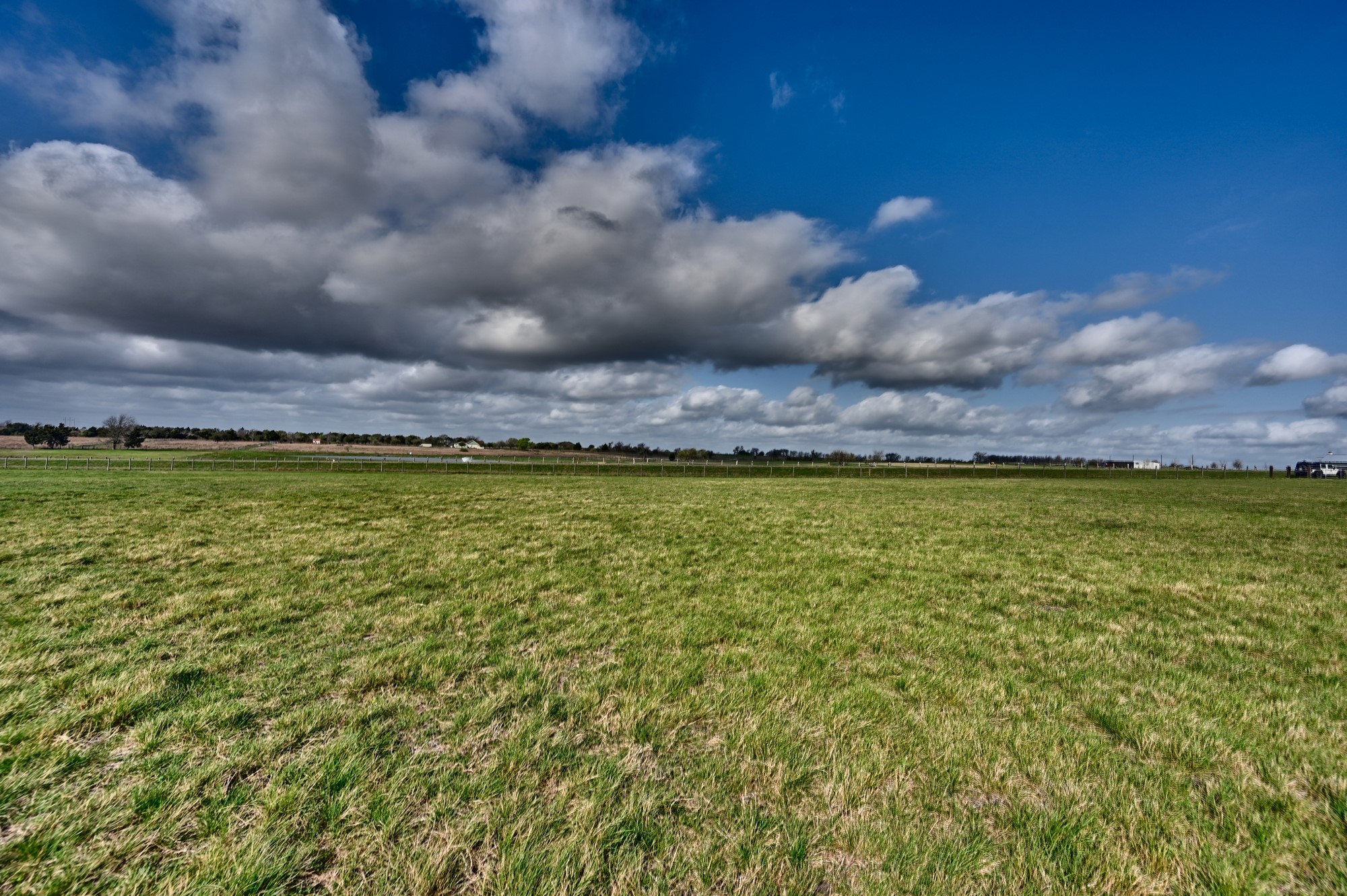 2 Fm 50-2 Brenham, TX 77833 - Photo 5 of 23 a view of a big yard with a large tree