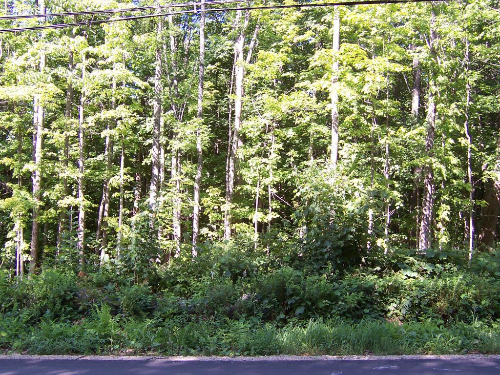 M15-l11 North Barnstead Road Center Barnstead, NH 03225 - Photo 3 of 9