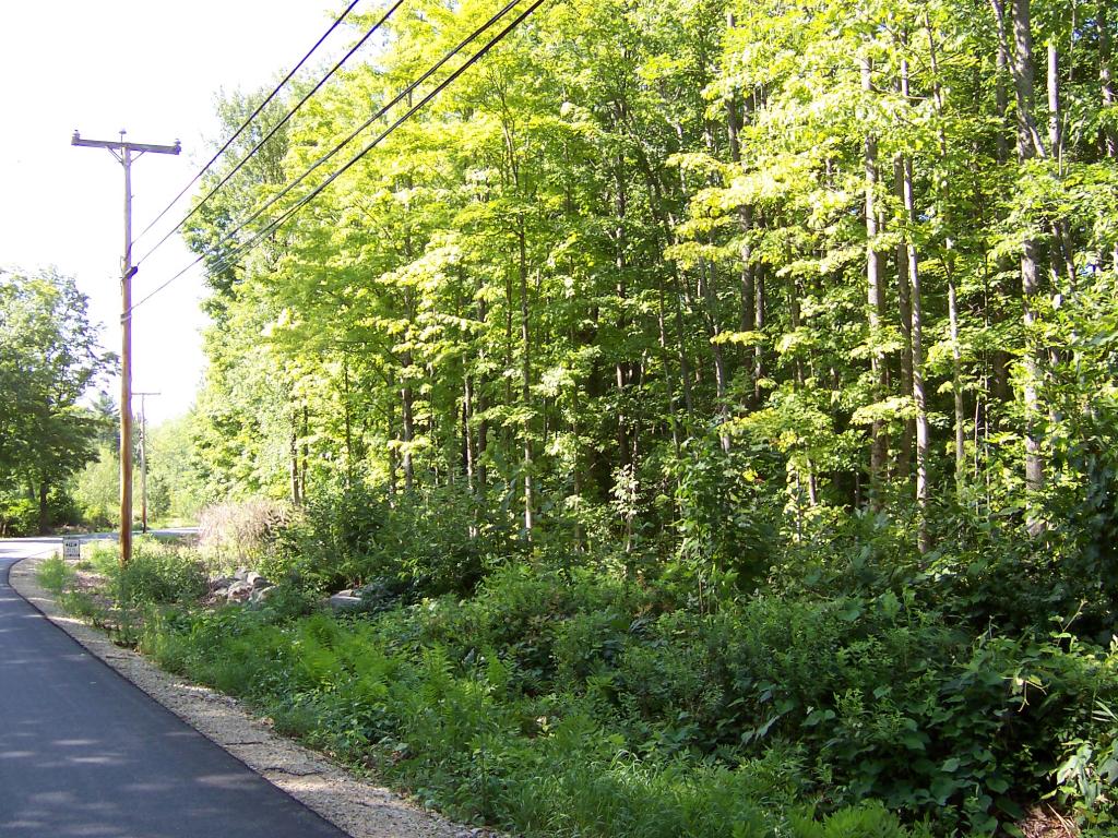M15-l11 North Barnstead Road Center Barnstead, NH 03225 - Photo 4 of 9
