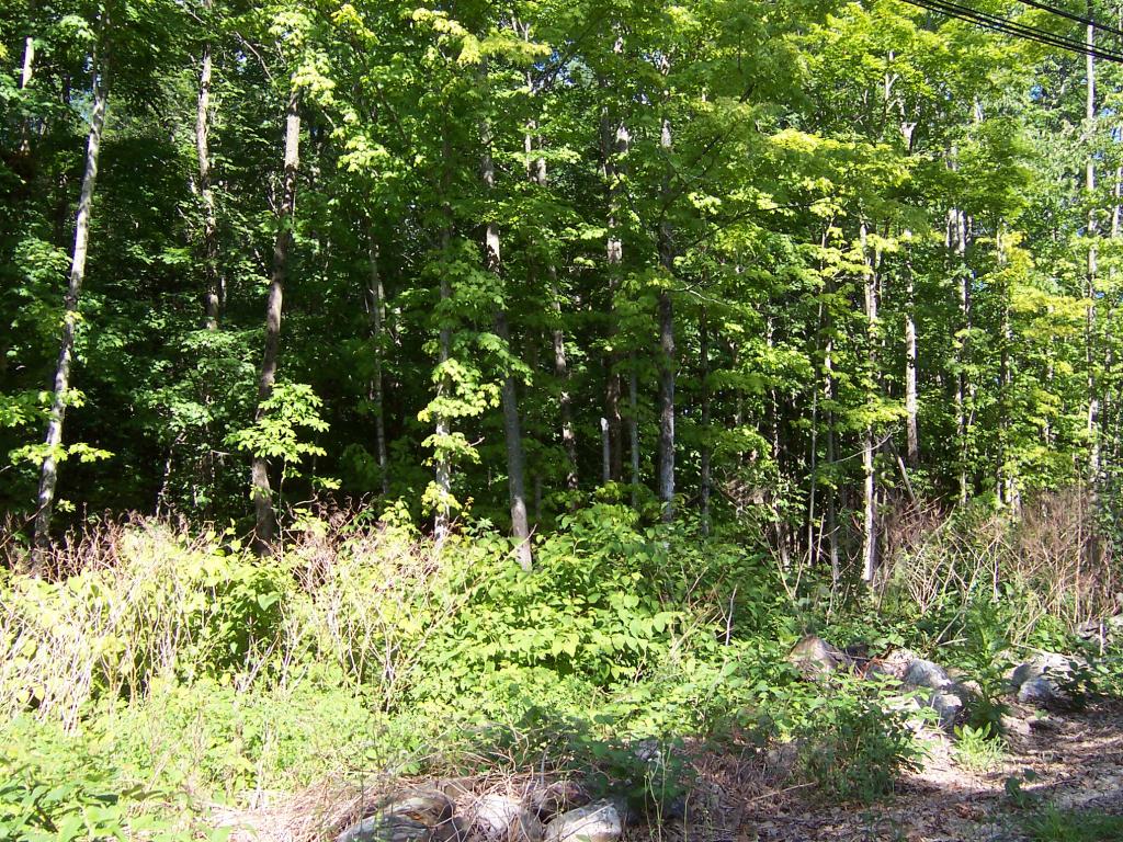 M15-l11 North Barnstead Road Center Barnstead, NH 03225 - Photo 5 of 9