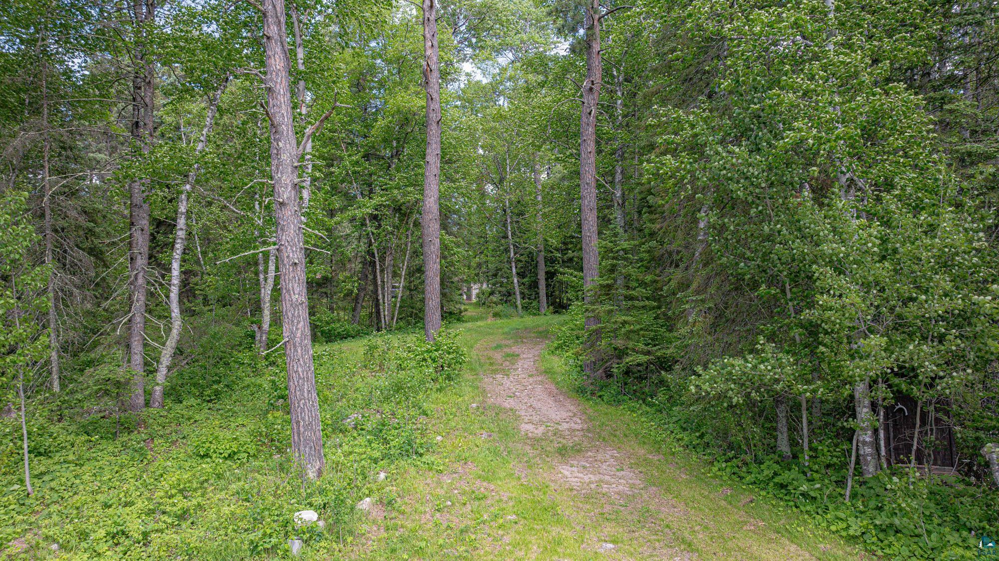 7280 Far North Road Buyck, MN 55771 - Photo 66 of 98