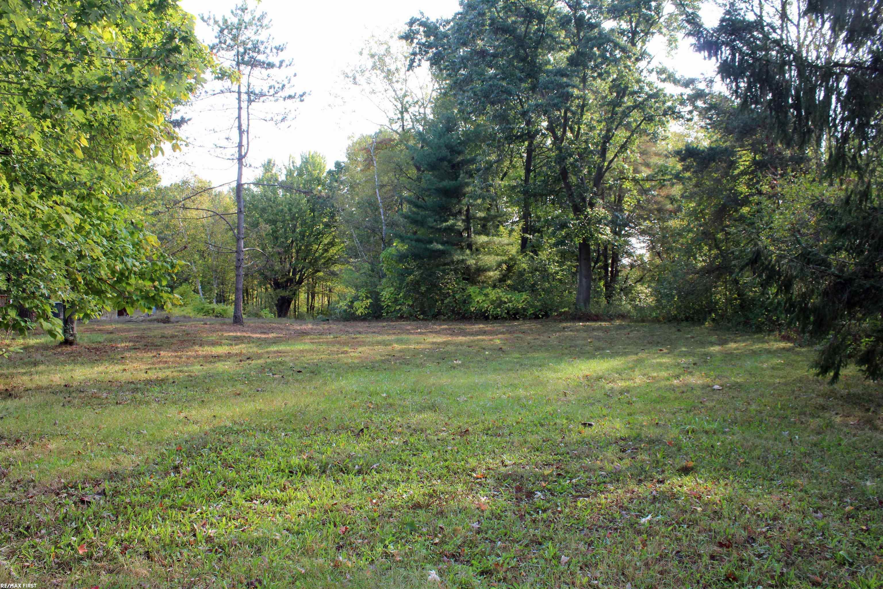 1790 Maple Road Smiths Creek, MI 48074 - Photo 20 of 20 50157658-ff749d69-36af-43fa-889f-2db85fd98ab5.JPG