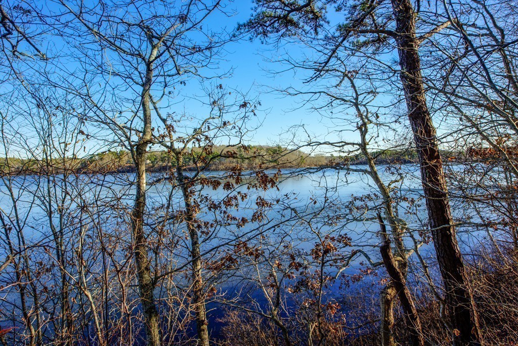 78 Sawmill Road Barnstable, MA 02648 - Photo 20 of 25 a view of a yard with plants and trees