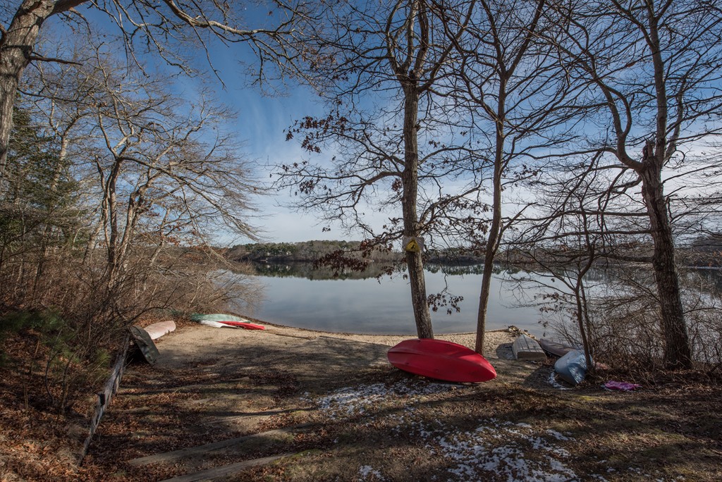 78 Sawmill Road Barnstable, MA 02648 - Photo 25 of 25 a view of a vase of flowers