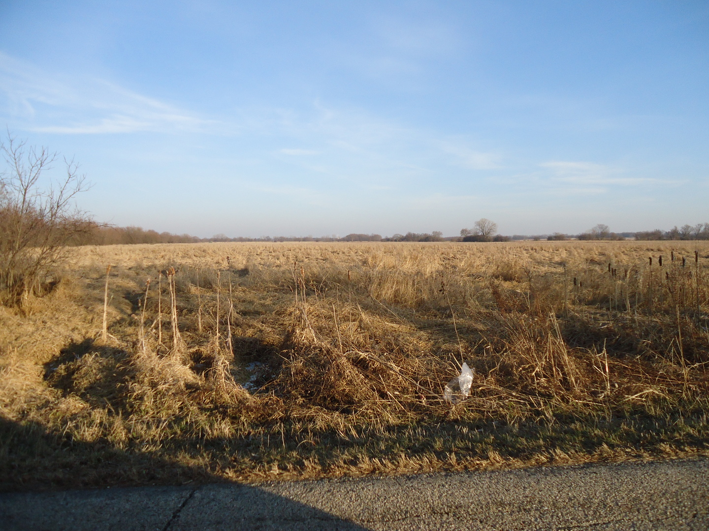 0 South Bakke Road Beloit, WI 53511 - Photo 6 of 6