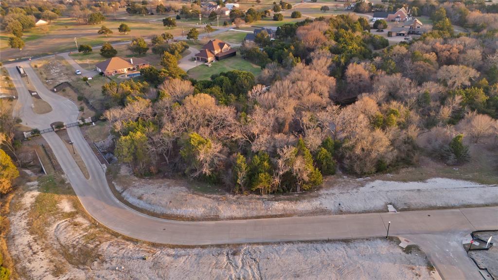 4820 Azalea Way Midlothian, TX 76065 - Photo 2 of 11