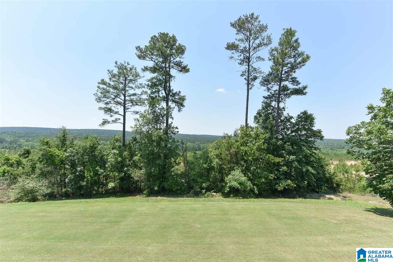 1012 Grande View Pass Alabaster, AL 35114 - Photo 11 of 50