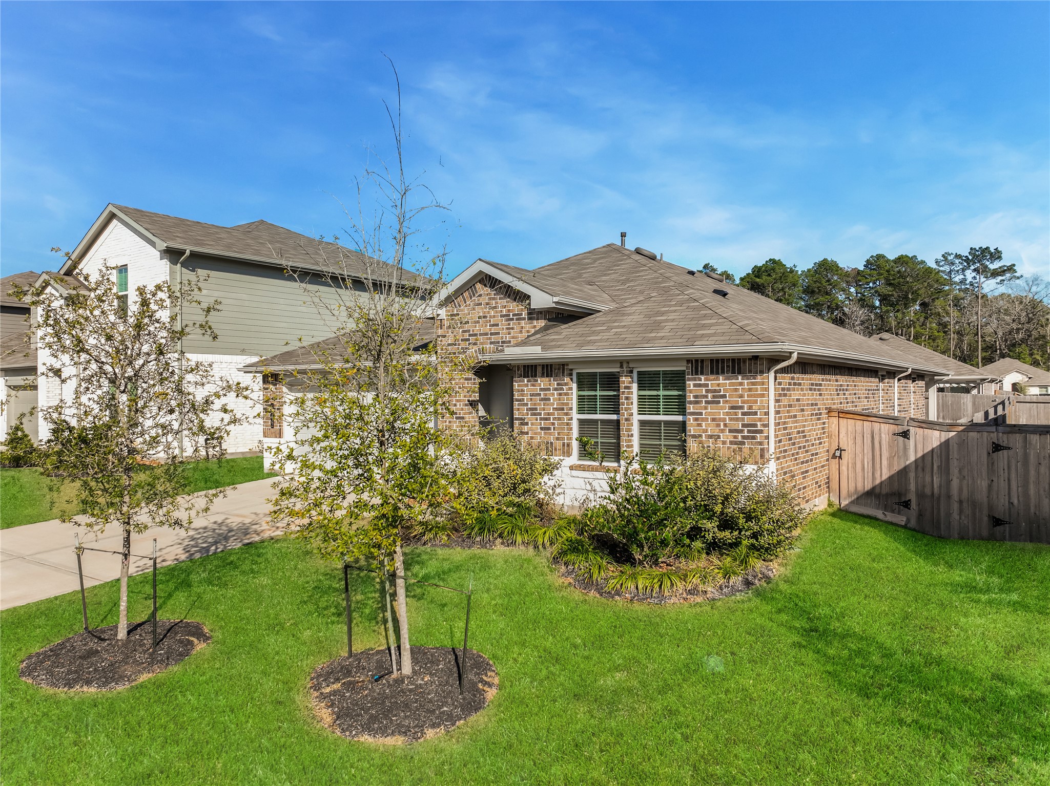 40422 Basalt Elm Road Magnolia, TX 77354 - Photo 3 of 27 a view of a house with a yard and plants
