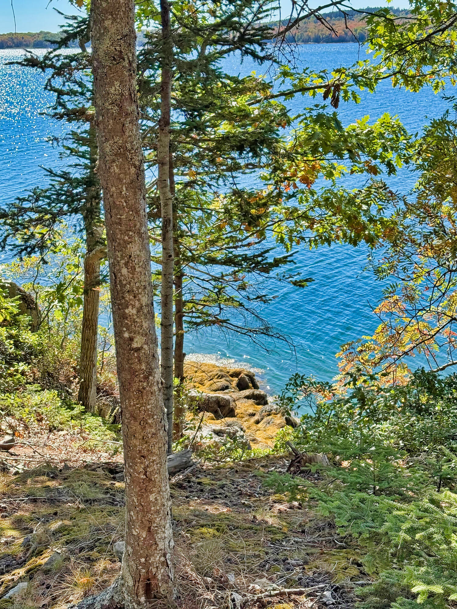 Lot 6 Sunset Road Brooksville, ME 04617 - Photo 32 of 35